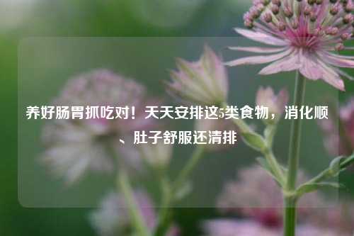 养好肠胃抓吃对!天天安排这5类食物,消化顺、肚子舒服还清排
