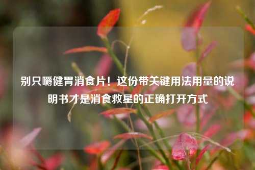 别只嚼健胃消食片!这份带关键用法用量的说明书才是消食救星的正确打开方式