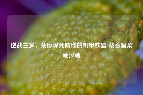 逆战兰多,荒原焊死防线的机甲铁壁 藏着温柔硬汉魂