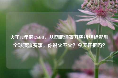 火了12年的CS:GO，从网吧通宵开黑拆弹标配到全球顶流赛事，你说火不火？今天开拆吗？