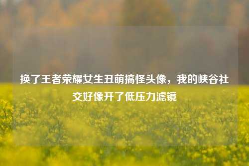换了王者荣耀女生丑萌搞怪头像,我的峡谷社交好像开了低压力滤镜