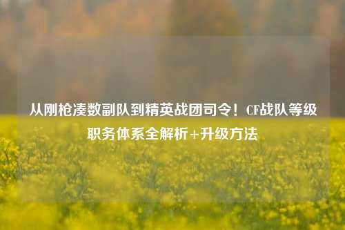从刚枪凑数副队到精英战团司令!CF战队等级职务体系全解析+升级方法