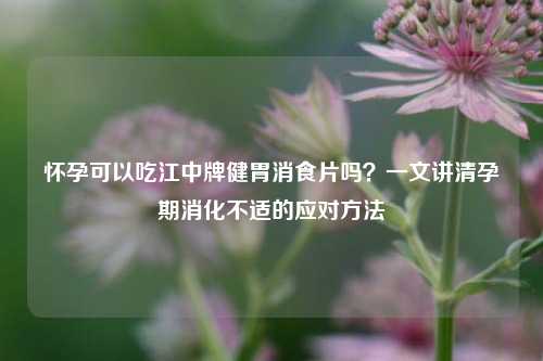 怀孕可以吃江中牌健胃消食片吗?一文讲清孕期消化不适的应对方法