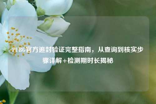 PUBG官方追封验证完整指南,从查询到核实步骤详解+检测期时长揭秘