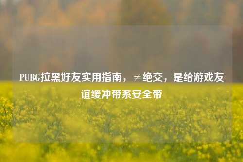 PUBG拉黑好友实用指南,≠绝交,是给游戏友谊缓冲带系安全带