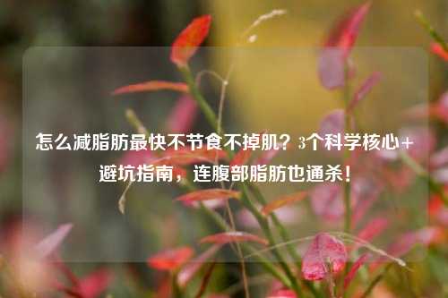 怎么减脂肪最快不节食不掉肌?3个科学核心+避坑指南,连腹部脂肪也通杀!