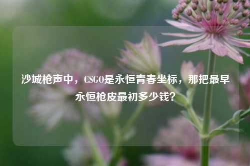 沙城枪声中，CSGO是永恒青春坐标，那把最早永恒枪皮最初多少钱？