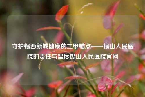 守护锡西新城健康的三甲锚点——锡山人民医院的责任与温度锡山人民医院官网
