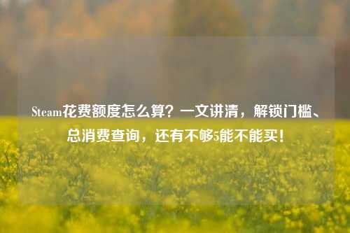 Steam花费额度怎么算?一文讲清,解锁门槛、总消费查询,还有不够5能不能买!