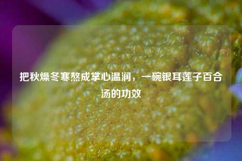 把秋燥冬寒熬成掌心温润,一碗银耳莲子百合汤的功效