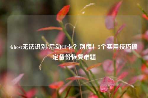 Ghost无法识别/启动CF卡?别慌!5个实用技巧搞定备份恢复难题