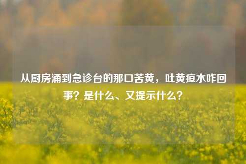 从厨房涌到急诊台的那口苦黄,吐黄疸水咋回事?是什么、又提示什么?