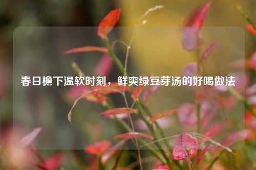 春日檐下温软时刻，鲜爽绿豆芽汤的好喝做法