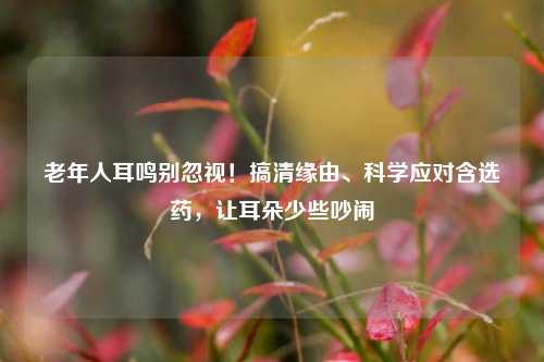 老年人耳鸣别忽视！搞清缘由、科学应对含选药，让耳朵少些吵闹