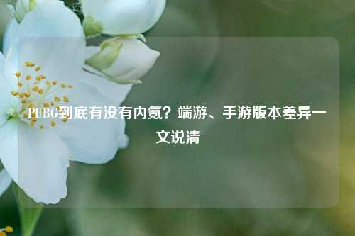 PUBG到底有没有内氪?端游、手游版本差异一文说清