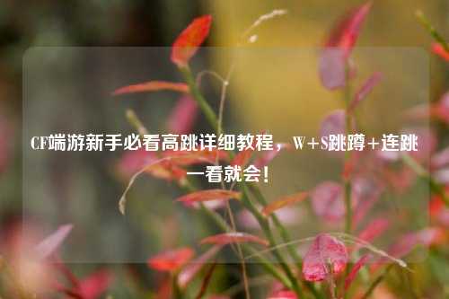 CF端游新手必看高跳详细教程,W+S跳蹲+连跳 一看就会!