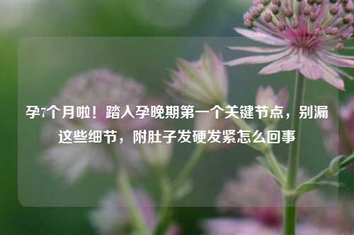 孕7个月啦！踏入孕晚期第一个关键节点，别漏这些细节，附肚子发硬发紧怎么回事