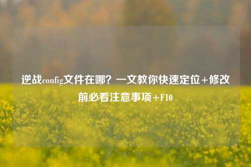 逆战config文件在哪?一文教你快速定位+修改前必看注意事项+F10