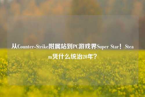 从Counter-Strike附属站到PC游戏界Super Star!Steam凭什么统治20年?