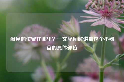 阑尾的位置在哪里？一文配图解讲清这个小器官的具体部位