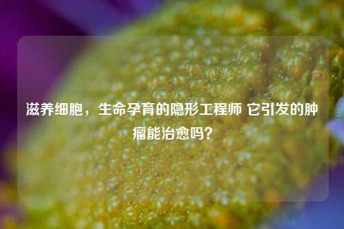 滋养细胞，生命孕育的隐形工程师 它引发的肿瘤能治愈吗？