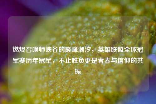 燃烬召唤师峡谷的巅峰潮汐，英雄联盟全球冠军赛历年冠军，不止胜负更是青春与信仰的共振