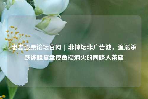 老麦股票论坛官网 | 非神坛非广告池，追涨杀跌练胆复盘摸鱼攒烟火的同路人茶座