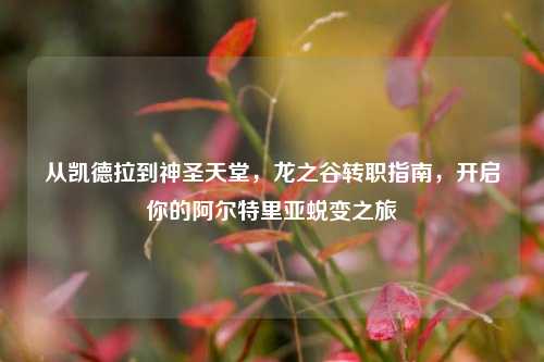 从凯德拉到神圣天堂，龙之谷转职指南，开启你的阿尔特里亚蜕变之旅