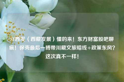ST西发（西藏发展）懂的来！东方财富股吧聊疯！保壳最后一搏带川藏文旅暗线+政策东风？这次真不一样！