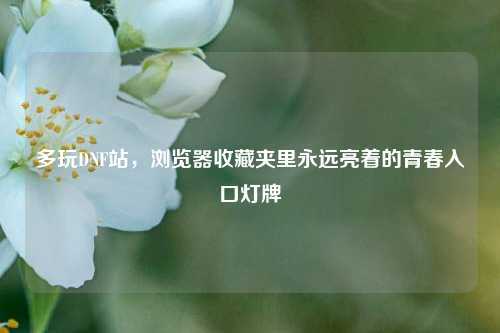 多玩DNF站，浏览器收藏夹里永远亮着的青春入口灯牌