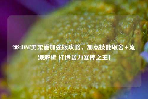 2024DNF男柔道加强版攻略，加点技能取舍+流派解析 打造暴力暴摔之王！