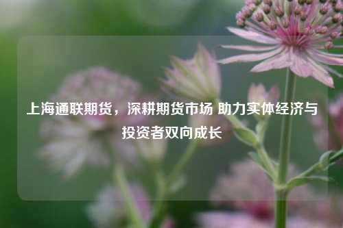 上海通联期货，深耕期货市场 助力实体经济与投资者双向成长