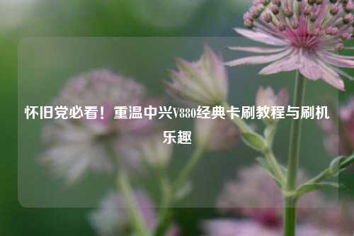 怀旧党必看！重温中兴V880经典卡刷教程与刷机乐趣