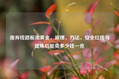 废弃线路板淘黄金,原理、方法、安全红线与提炼后能卖多少钱一克