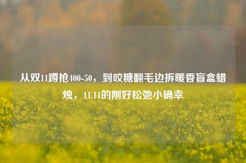 从双11蹲抢400-50，到咬糖翻毛边拆暖香盲盒蜡烛，11.11的刚好松弛小确幸
