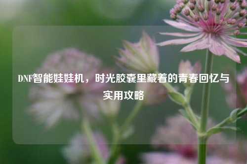 DNF智能娃娃机,时光胶囊里藏着的青春回忆与实用攻略