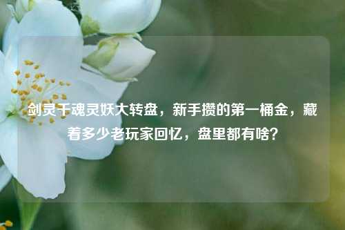 剑灵千魂灵妖大转盘，新手攒的第一桶金，藏着多少老玩家回忆，盘里都有啥？