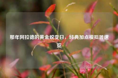 那年阿拉德的黄金蜕变日,经典加点模拟器速览