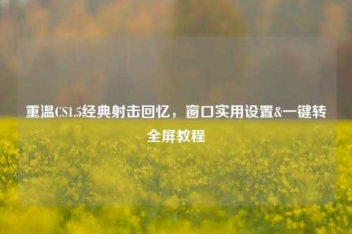 重温CS1.5经典射击回忆，窗口实用设置&一键转全屏教程