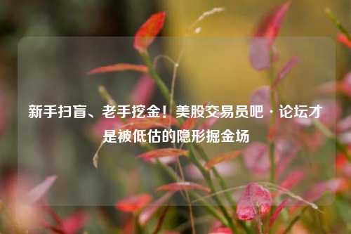 新手扫盲、老手挖金！美股交易员吧·论坛才是被低估的隐形掘金场