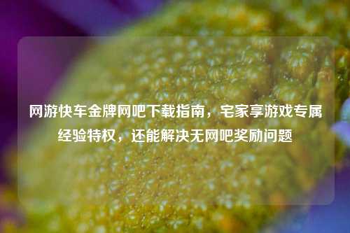 网游快车金牌网吧下载指南，宅家享游戏专属经验特权，还能解决无网吧奖励问题