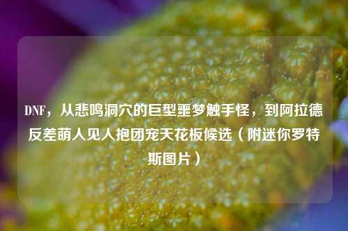 DNF，从悲鸣洞穴的巨型噩梦触手怪，到阿拉德反差萌人见人抱团宠天花板候选（附迷你罗特斯图片）