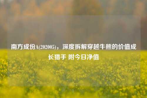 南方成份A(202005),深度拆解穿越牛熊的价值成长猎手 附今日净值