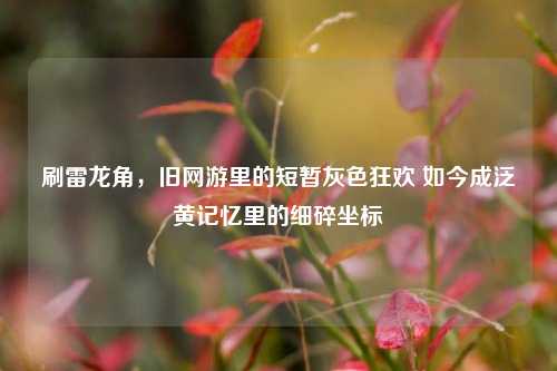 刷雷龙角，旧网游里的短暂灰色狂欢 如今成泛黄记忆里的细碎坐标