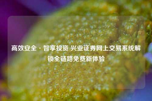 高效安全·智享投资 兴业证券网上交易系统解锁全链路免费新体验