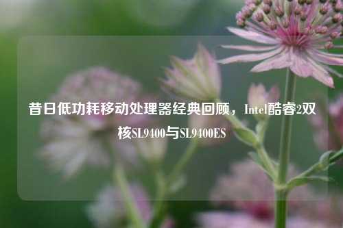 昔日低功耗移动处理器经典回顾，Intel酷睿2双核SL9400与SL9400ES